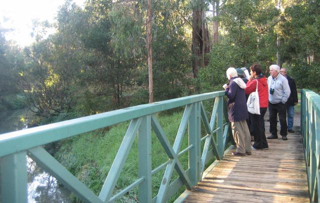 bird count group Bird counting group on Blacks Walk bridge