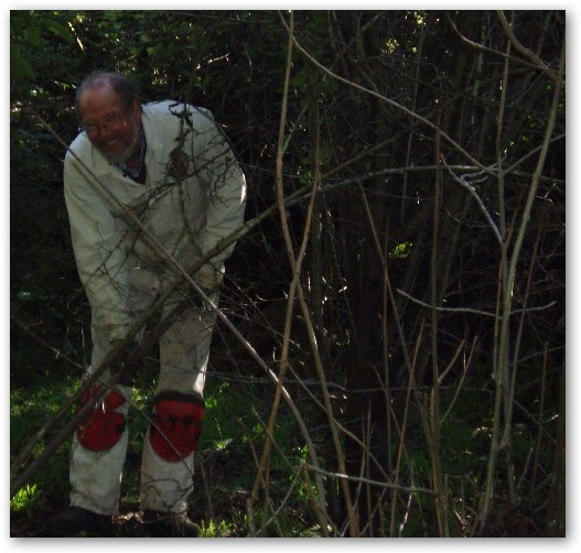 mwb20120725woodyweeds woody weed removal