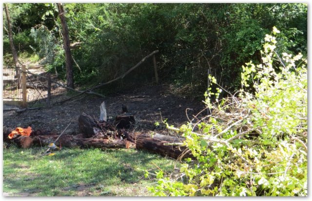 Clean Up Australia Day 2013 - after