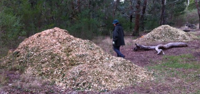 Illegal Mulch - Heath Street