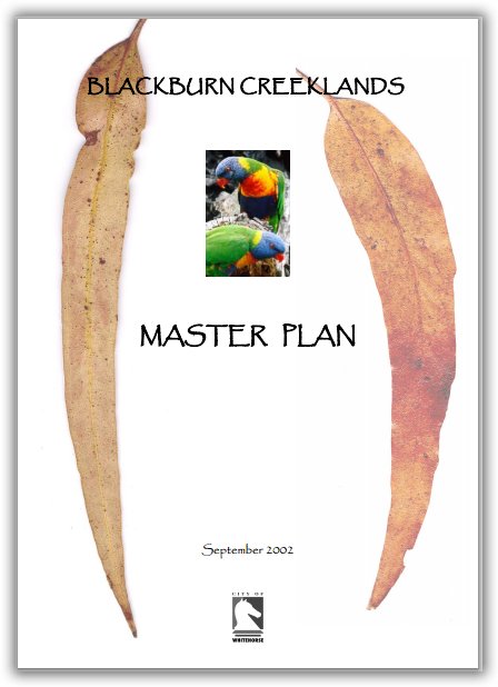master plan cover