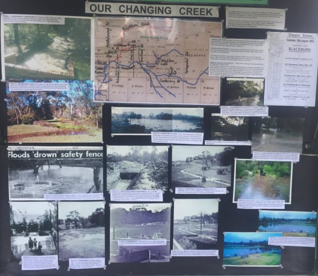 nb - our changing creek