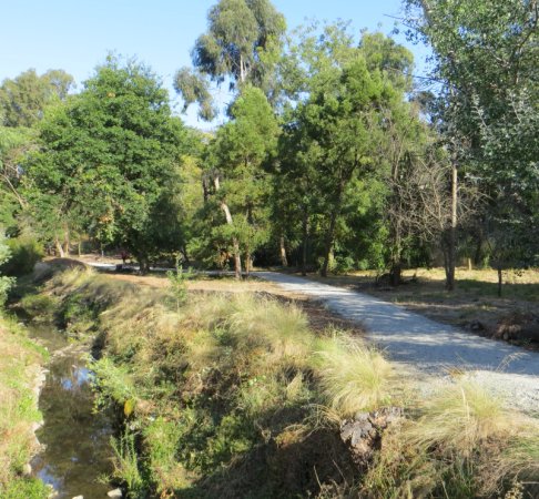 TLA60Main Street from bridge
