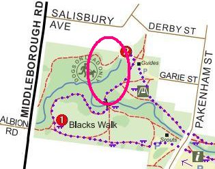 blackburn creek on map