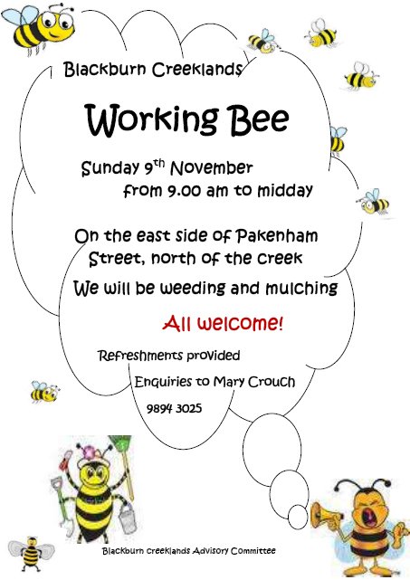Working Bee 9 Nov 14 busy bees
