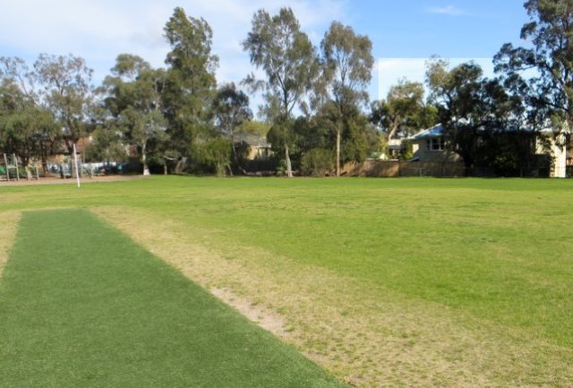 cricket pitch