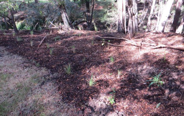 working bee 20150503