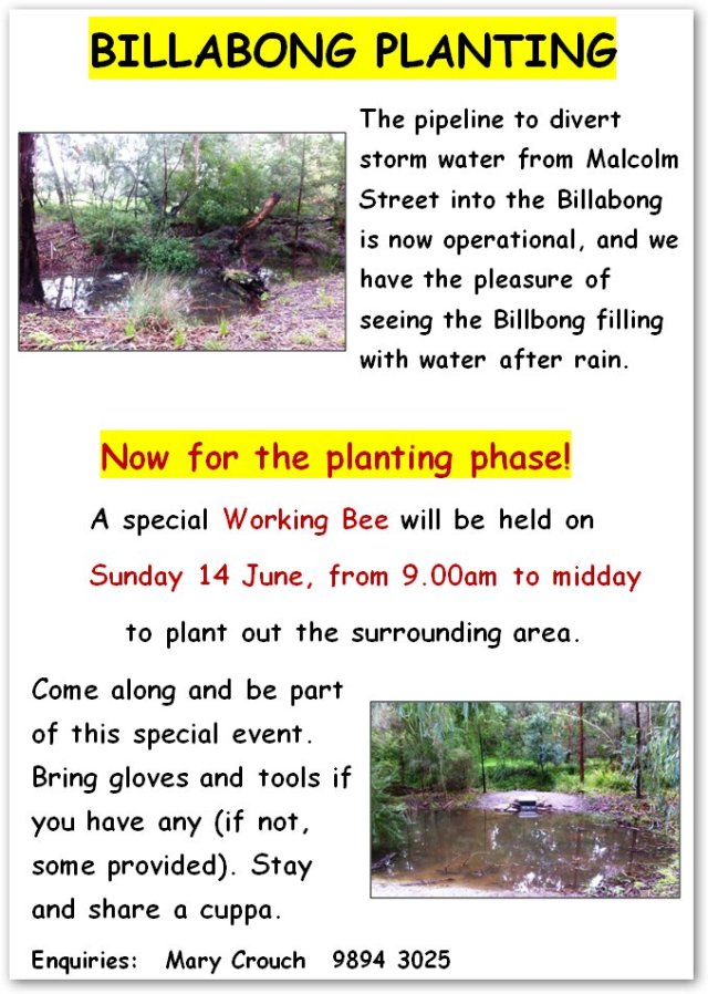 billabong working bee