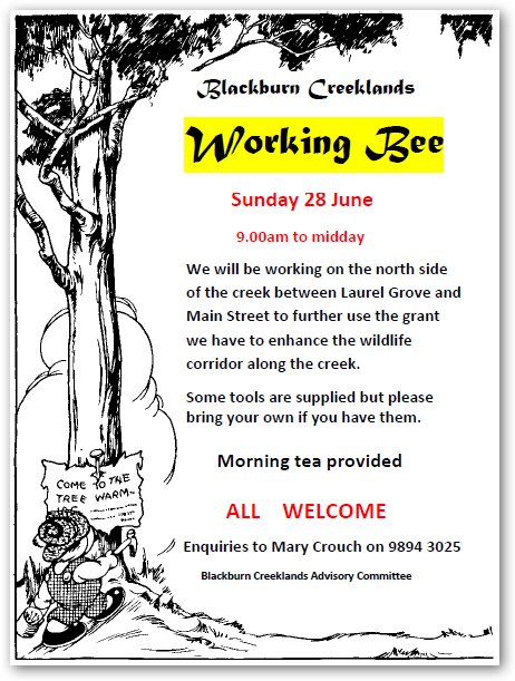working bee 20150628