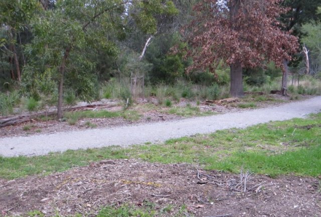 View from Proposed Seat (see faint yellow chalk on ground in the foreground?)