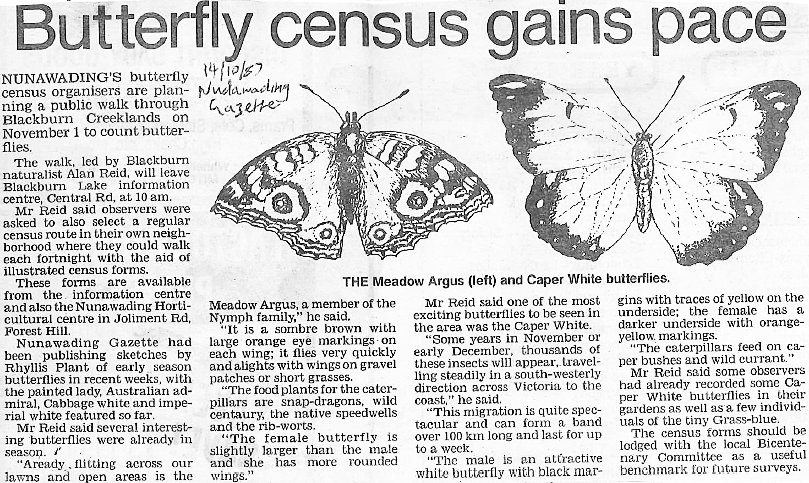 butterfly - census article 19871014