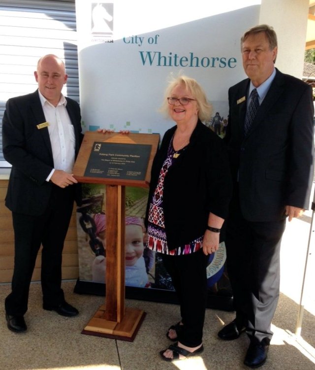 mayor and councillors