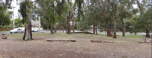 logs around regen area