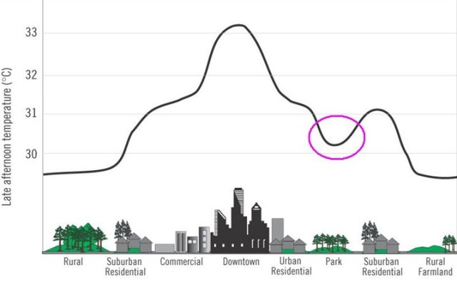parks vs heat island effect