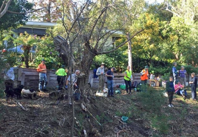 working bee 20160514 v2