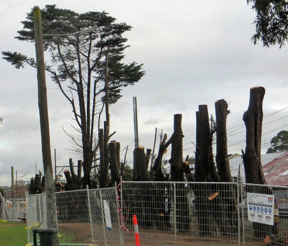 Morton Park destruction