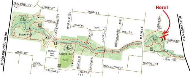 working bee 20160605