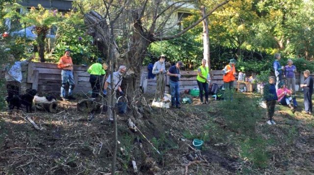 working-bee-may-2016