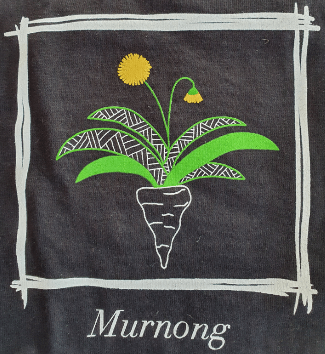 Murnong - showing the underground tuber, an important food source for the Kulin Nation.